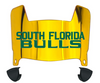 South Florida Bulls Mini Football Helmet Visor Shield w/ Clips - PICK VISOR & LOGO COLOR