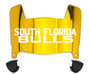 South Florida Bulls Mini Football Helmet Visor Shield w/ Clips - PICK VISOR & LOGO COLOR