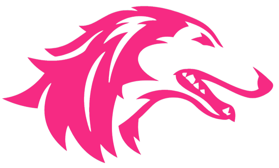 Southern Illinois Salukis HOT PINK Team Logo Premium DieCut Vinyl Decal PICK SIZE