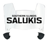 Southern Illinois Salukis Mini Football Helmet Visor Shield w/ Clips - PICK VISOR & LOGO COLOR