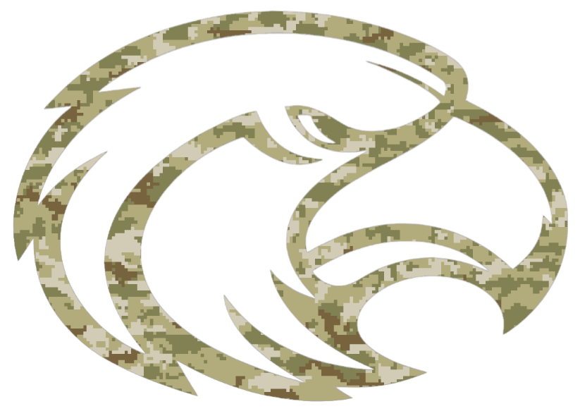 Southern Miss Golden Eagles Retro Throwback Logo Salute to Service Camouflage Camo Vinyl Decal PICK SIZE