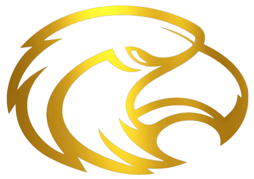 Southern Miss Golden Eagles GOLD CHROME MIRROR Retro Throwback Logo Premium DieCut Vinyl Decal PICK SIZE