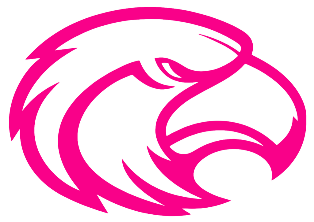 Southern Miss Golden Eagles Hot Pink Retro Throwback Logo Premium DieCut Vinyl Decal PICK SIZE