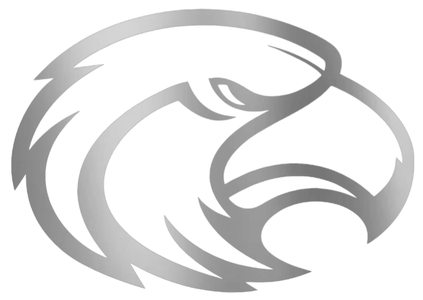 Southern Miss Golden Eagles SILVER CHROME MIRROR Retro Throwback Logo Premium DieCut Vinyl Decal PICK SIZE