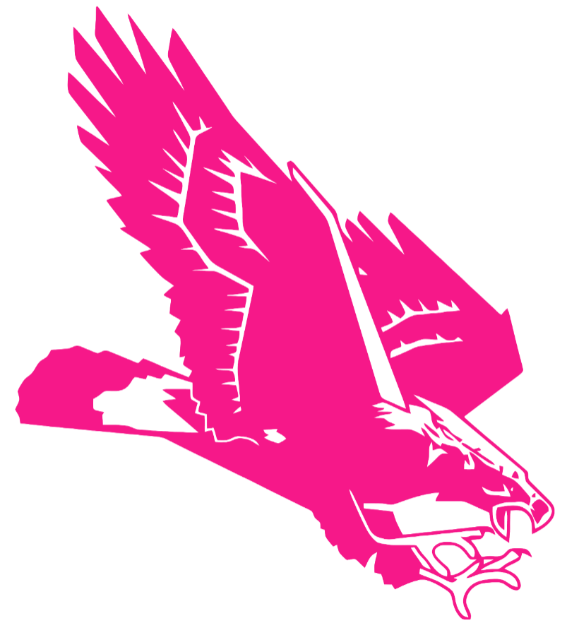 Southern Miss Golden Eagles Hot Pink Retro Throwback Logo Premium DieCut Vinyl Decal PICK SIZE