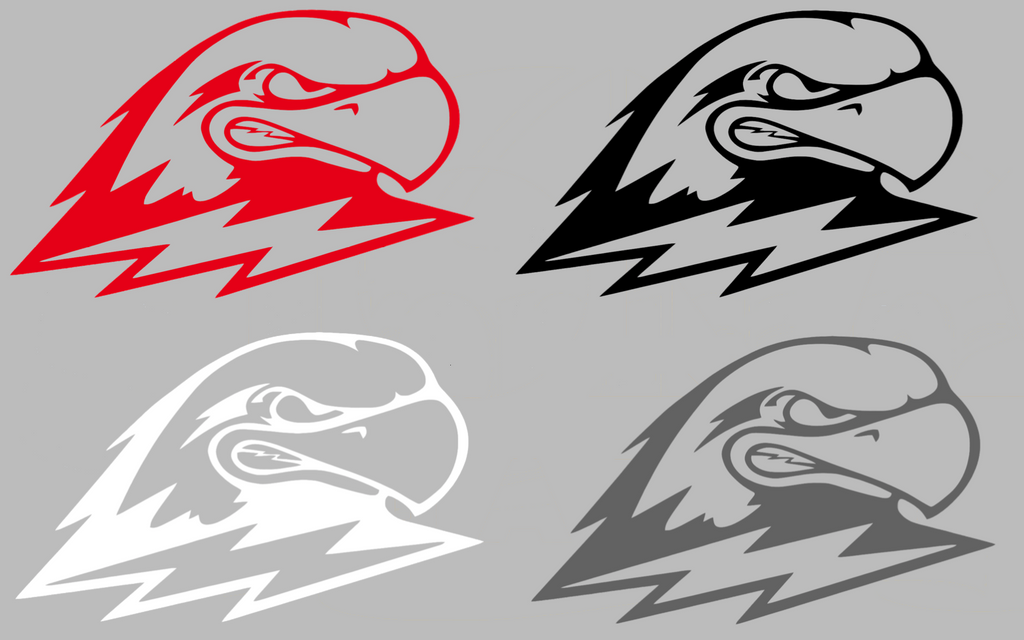 Southern Utah Thunderbirds Team Logo Premium DieCut Vinyl Decal PICK COLOR & SIZE