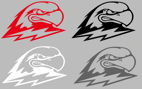 Southern Utah Thunderbirds Team Logo Premium DieCut Vinyl Decal PICK COLOR & SIZE