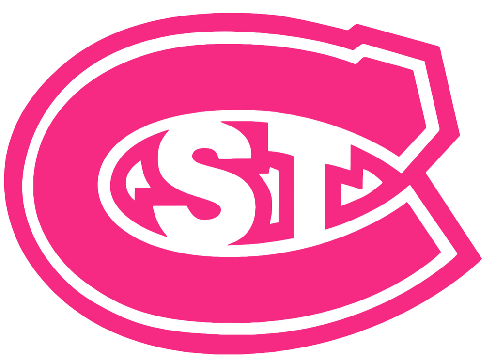 St Cloud State Huskies HOT PINK Team Logo Premium DieCut Vinyl Decal PICK SIZE