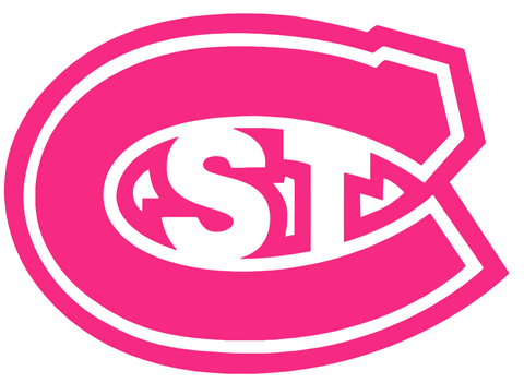St Cloud State Huskies HOT PINK Team Logo Premium DieCut Vinyl Decal PICK SIZE