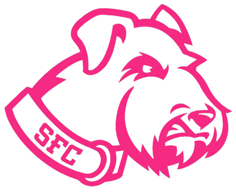 St Francis Terriers HOT PINK Team Logo Premium DieCut Vinyl Decal PICK SIZE