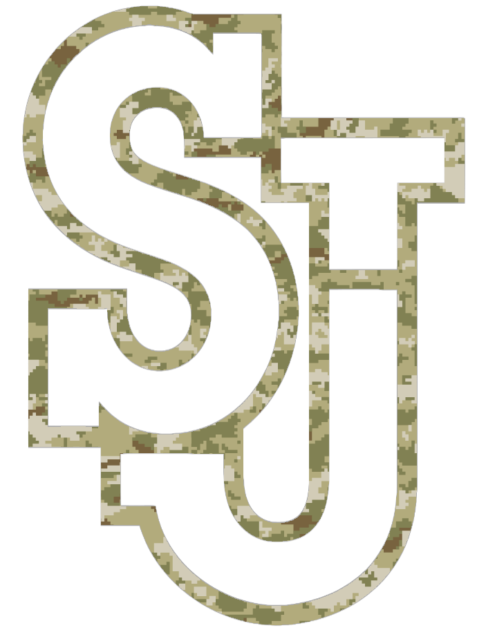 St Johns Red Storm Team Logo Salute to Service Camouflage Camo Vinyl Decal PICK SIZE