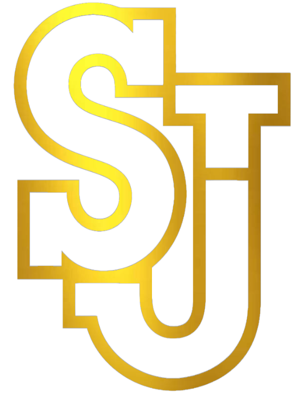 St Johns Red Storm GOLD CHROME MIRROR Team Logo Premium DieCut Vinyl Decal PICK SIZE
