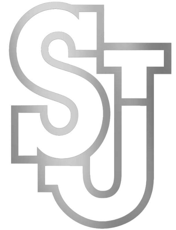 St Johns Red Storm SILVER CHROME MIRROR Team Logo Premium DieCut Vinyl Decal PICK SIZE