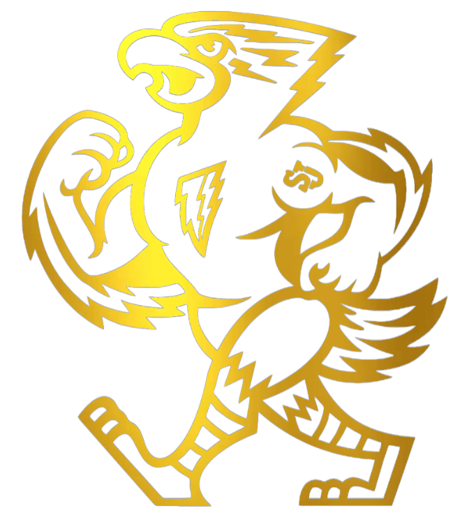 St Johns Red Storm GOLD CHROME MIRROR Mascot Logo Premium DieCut Vinyl Decal PICK SIZE