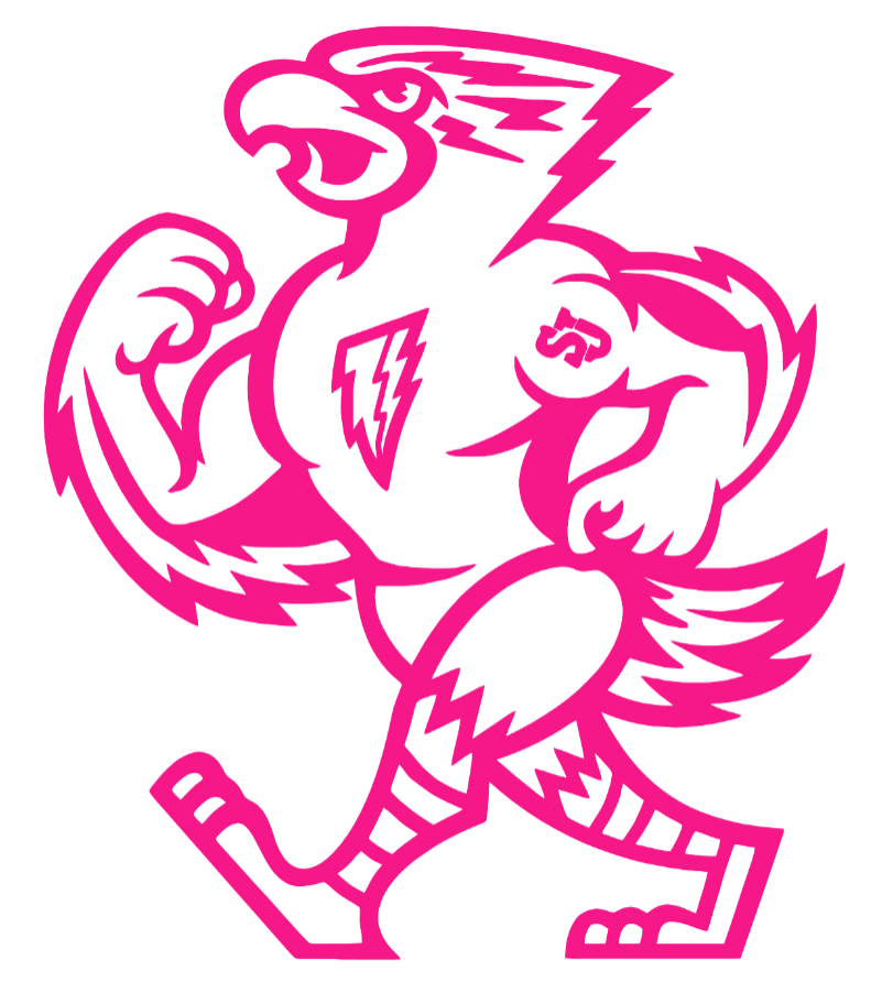 St Johns Red Storm Hot Pink Mascot Logo Premium DieCut Vinyl Decal PICK SIZE