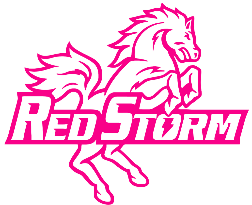 St Johns Red Storm Hot Pink Retro Throwback Logo Premium DieCut Vinyl Decal PICK SIZE