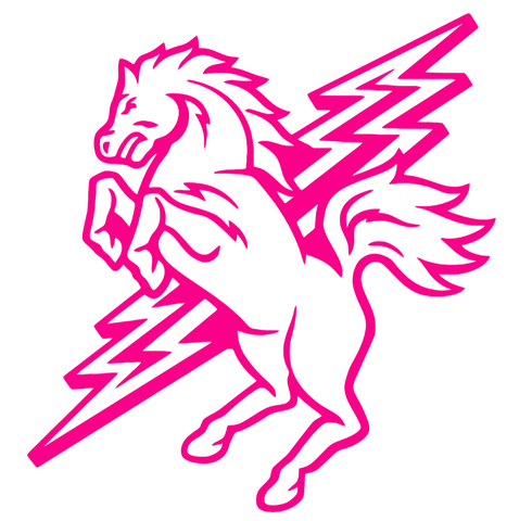 St Johns Red Storm Hot Pink Retro Throwback Logo Premium DieCut Vinyl Decal PICK SIZE
