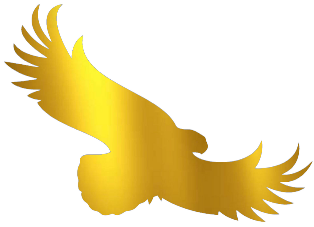 St Joseph Hawks GOLD CHROME MIRROR Alternate Logo Premium DieCut Vinyl Decal PICK SIZE