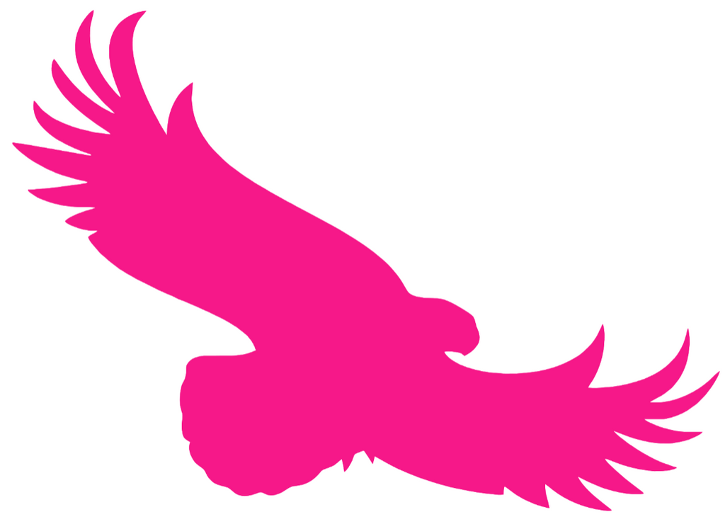 St Joseph Hawks Hot Pink Alternate Logo Premium DieCut Vinyl Decal PICK SIZE