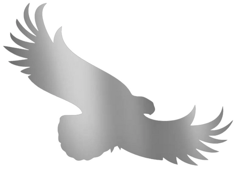 St Joseph Hawks SILVER CHROME MIRROR Alternate Logo Premium DieCut Vinyl Decal PICK SIZE