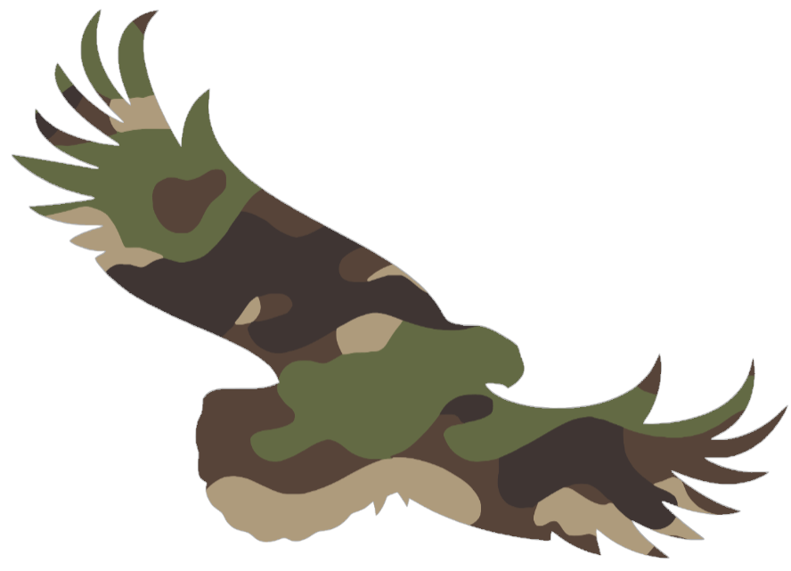 St Joseph Hawks Woodland Camo Camouflage Alternate Logo Premium DieCut Vinyl Decal PICK SIZE