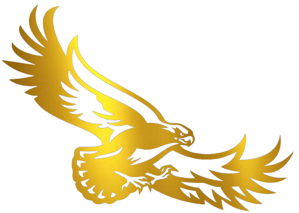 St Joseph Hawks GOLD CHROME MIRROR Team Logo Premium DieCut Vinyl Decal PICK SIZE