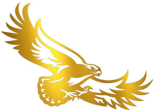 St Joseph Hawks GOLD CHROME MIRROR Team Logo Premium DieCut Vinyl Decal PICK SIZE