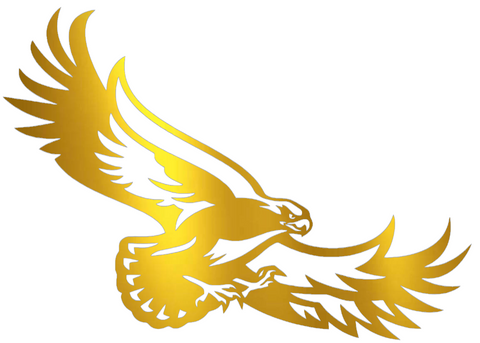 St Joseph Hawks GOLD CHROME MIRROR Team Logo Premium DieCut Vinyl Decal PICK SIZE