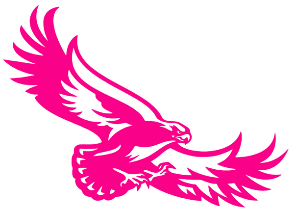 St Joseph Hawks Hot Pink Team Logo Premium DieCut Vinyl Decal PICK SIZE