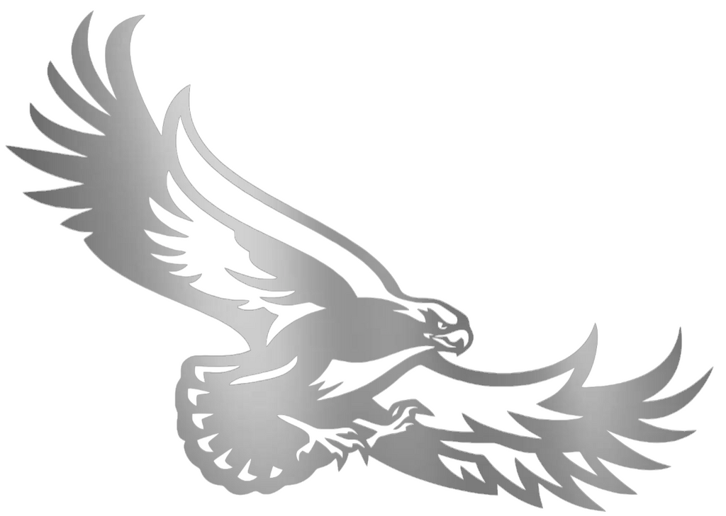 St Joseph Hawks SILVER CHROME MIRROR Team Logo Premium DieCut Vinyl Decal PICK SIZE