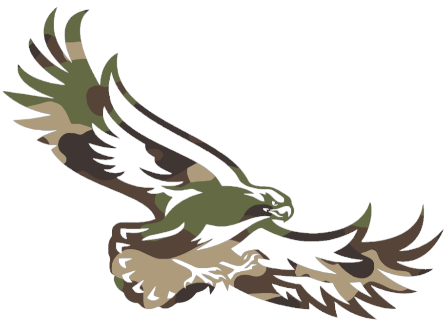 St Joseph Hawks Woodland Camo Camouflage Team Logo Premium DieCut Vinyl Decal PICK SIZE