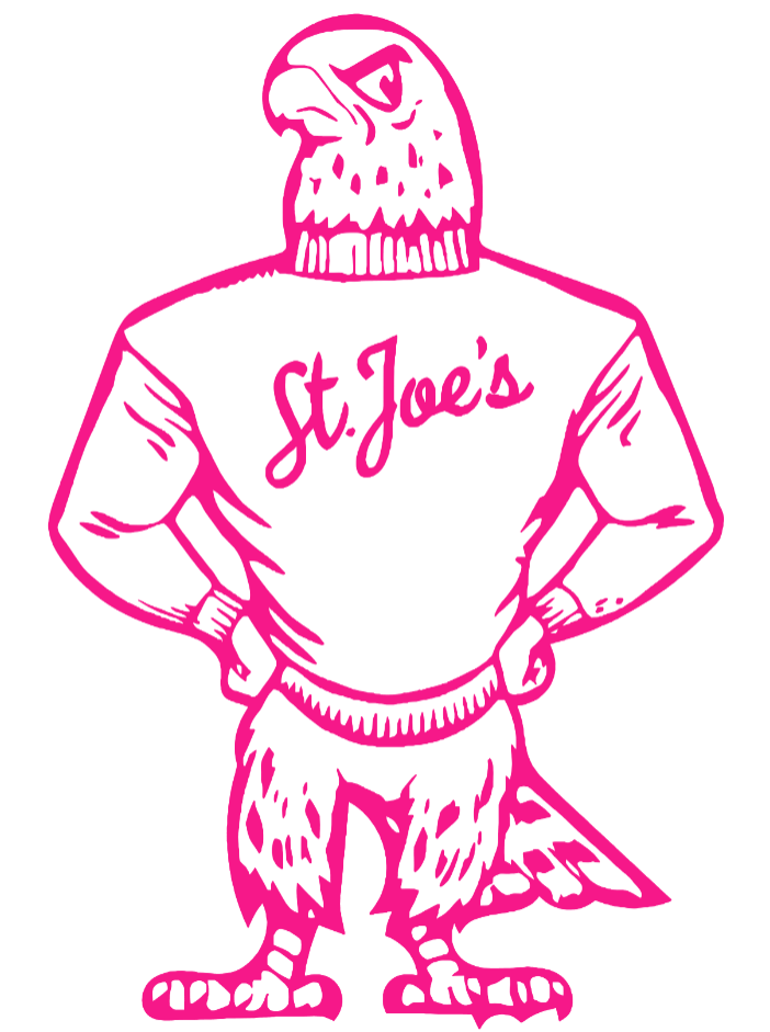 St Joseph Hawks Hot Pink Retro Throwback Logo Premium DieCut Vinyl Decal PICK SIZE