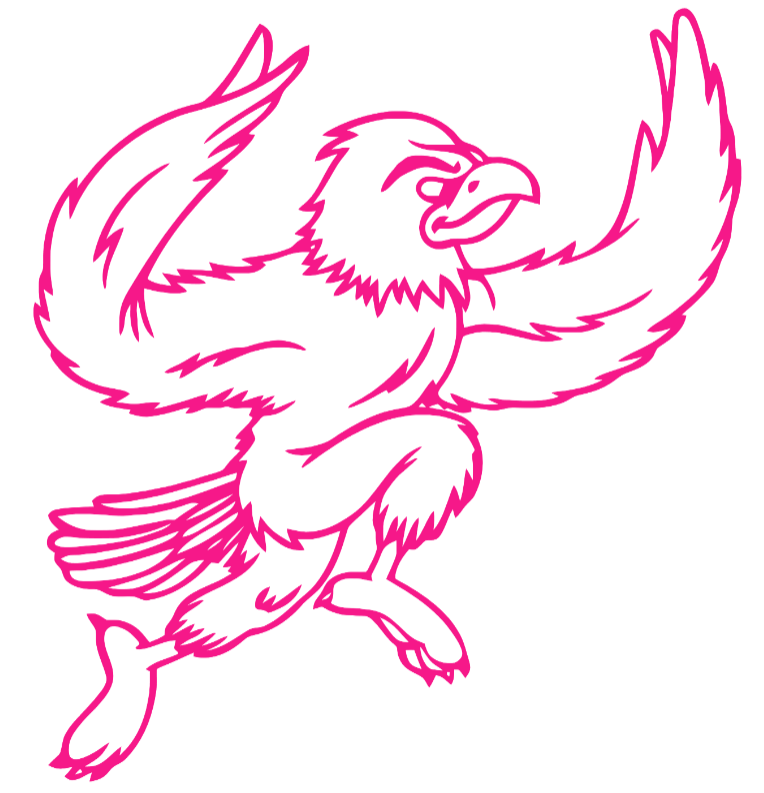 St Joseph Hawks Hot Pink Retro Throwback Logo Premium DieCut Vinyl Decal PICK SIZE