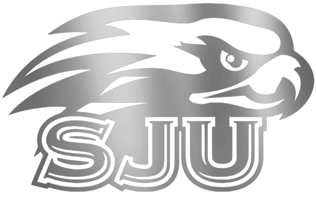 St Joseph Hawks SILVER CHROME MIRROR SJU Logo Premium DieCut Vinyl Decal PICK SIZE