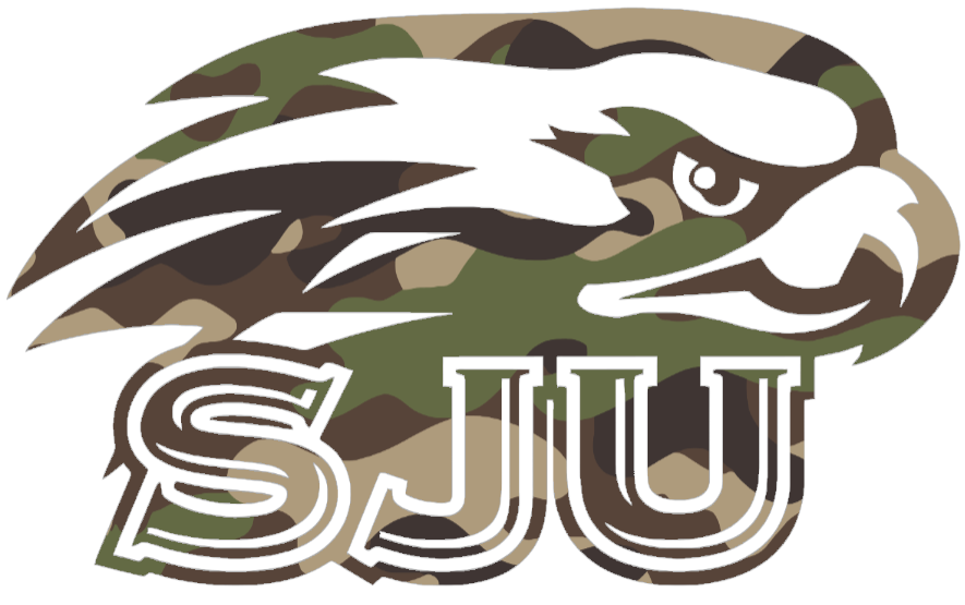 St Joseph Hawks Woodland Camo Camouflage SJU Logo Premium DieCut Vinyl Decal PICK SIZE