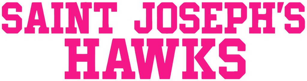 St Joseph Hawks Hot Pink Team Name Logo Premium DieCut Vinyl Decal PICK SIZE