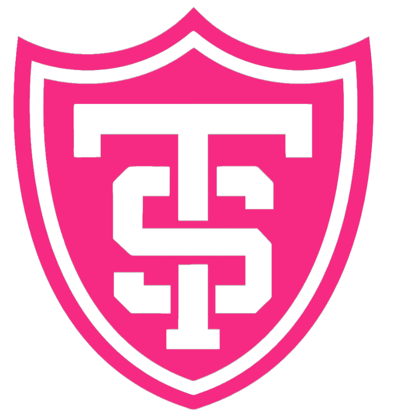 St Thomas Tommies HOT PINK Team Logo Premium DieCut Vinyl Decal PICK SIZE