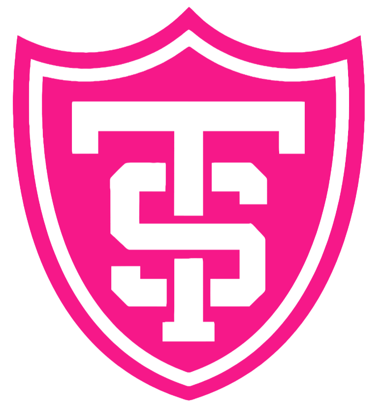 St Thomas Tommies Hot Pink Team Logo Premium DieCut Vinyl Decal PICK SIZE