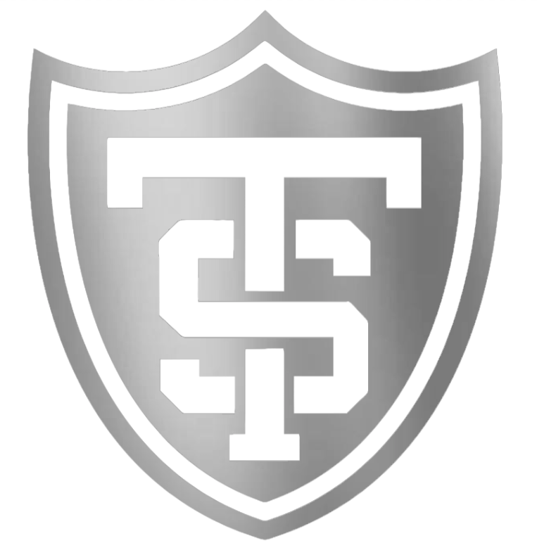 St Thomas Tommies SILVER CHROME MIRROR Team Logo Premium DieCut Vinyl Decal PICK SIZE