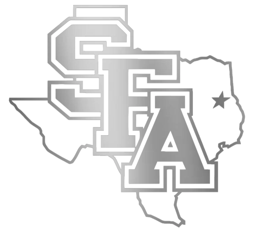 Stephen F Austin SILVER CHROME MIRROR Team Logo Premium DieCut Vinyl Decal PICK SIZE