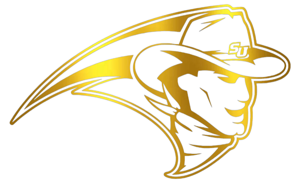 Stetson Hatters GOLD CHROME MIRROR Mascot Logo Premium DieCut Vinyl Decal PICK SIZE
