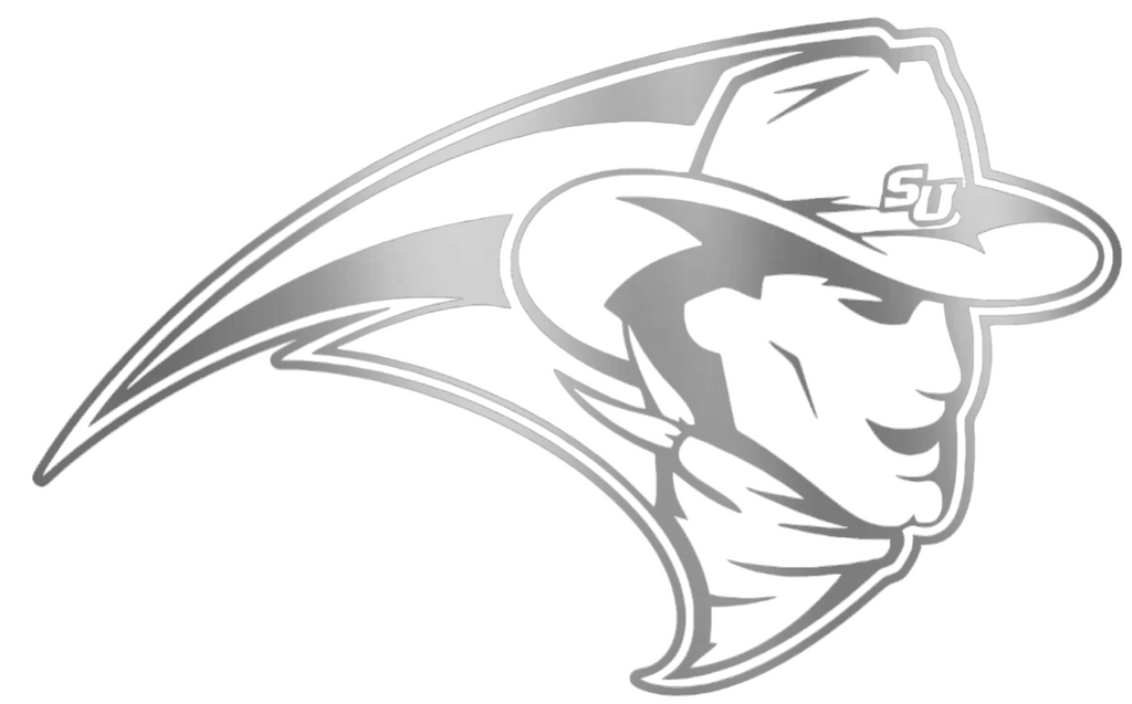 Stetson Hatters SILVER CHROME MIRROR Mascot Logo Premium DieCut Vinyl Decal PICK SIZE