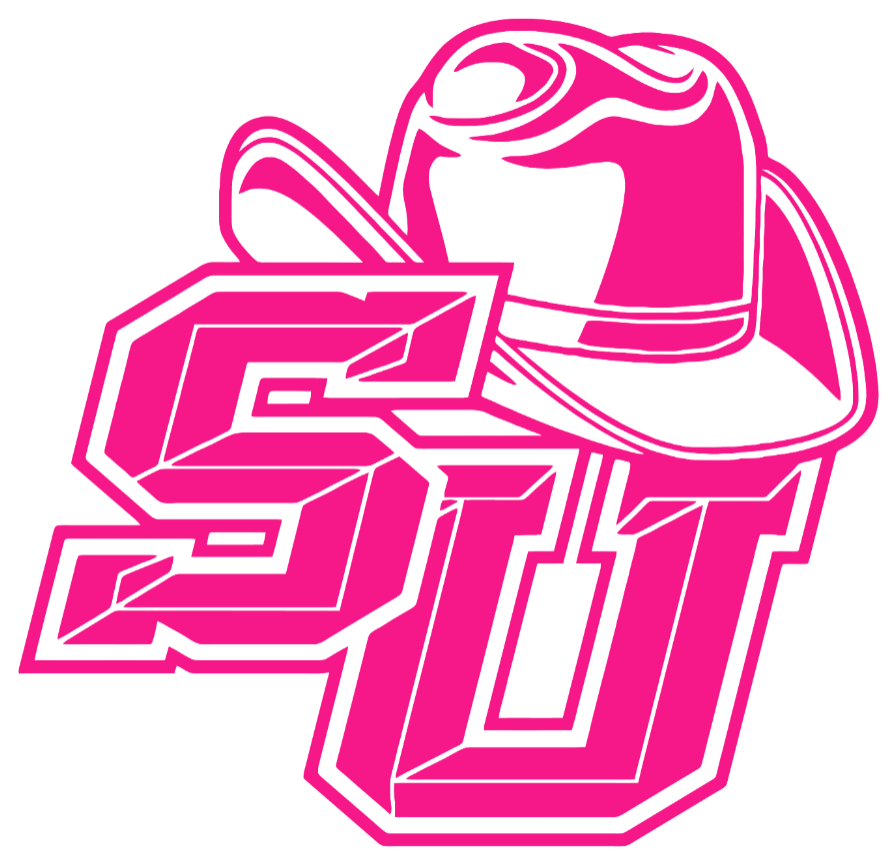 Stetson Hatters Hot Pink Retro Throwback Logo Premium DieCut Vinyl Decal PICK SIZE