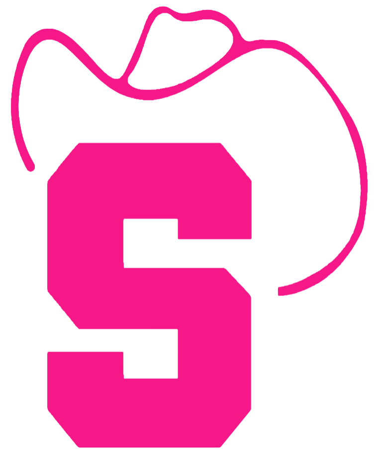 Stetson Hatters Hot Pink Retro Throwback Logo Premium DieCut Vinyl Decal PICK SIZE