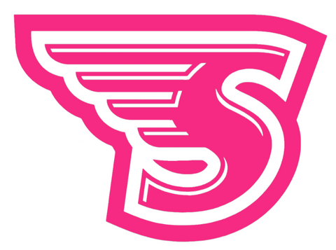 Stonehill Skyhawks HOT PINK Team Logo Premium DieCut Vinyl Decal PICK SIZE