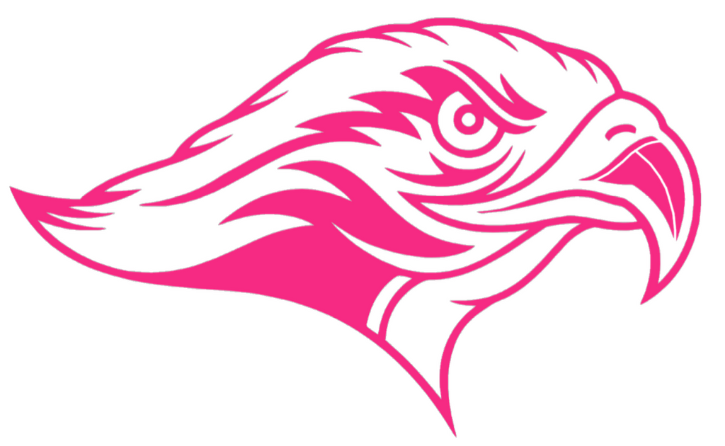 Stonehill Skyhawks HOT PINK Mascot Logo Premium DieCut Vinyl Decal PICK SIZE