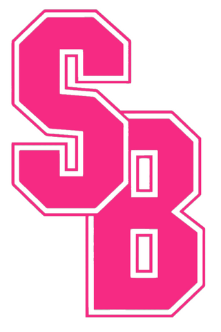 Stonybrook Seawolves HOT PINK Team Logo Premium DieCut Vinyl Decal PICK SIZE