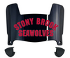 Stonybrook Seawolves Mini Football Helmet Visor Shield w/ Clips - PICK VISOR & LOGO COLOR