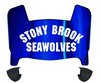 Stonybrook Seawolves Mini Football Helmet Visor Shield w/ Clips - PICK VISOR & LOGO COLOR