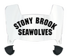 Stonybrook Seawolves Mini Football Helmet Visor Shield w/ Clips - PICK VISOR & LOGO COLOR